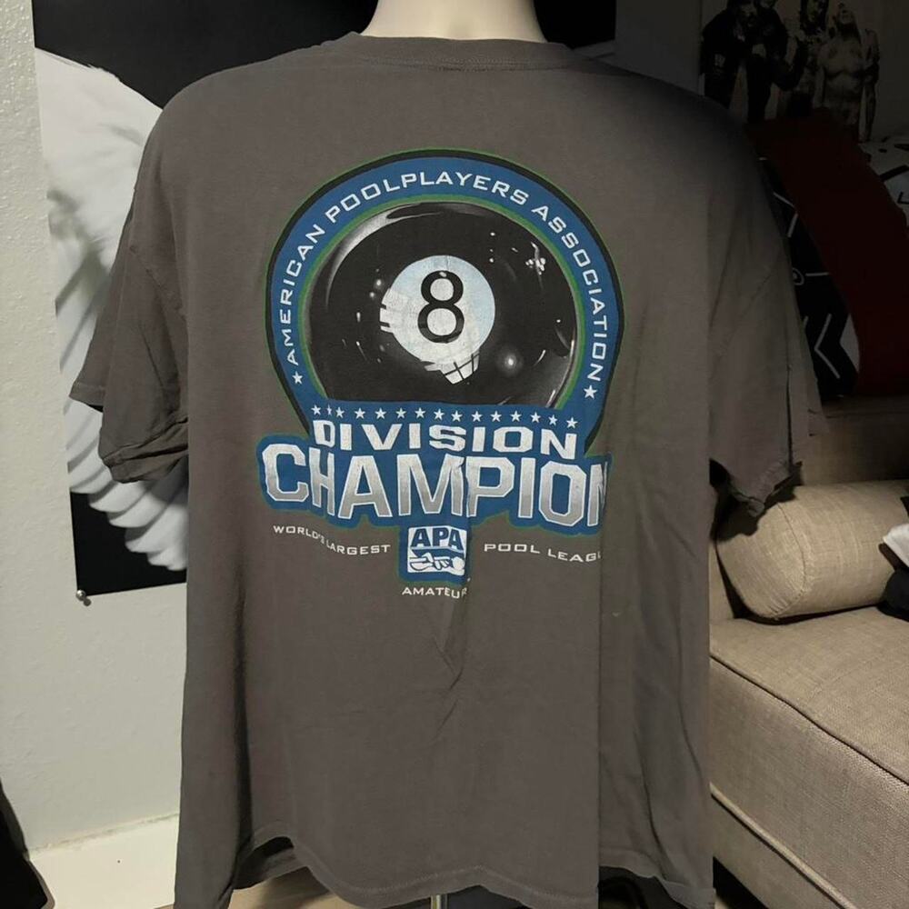 American poolplayers association division champion